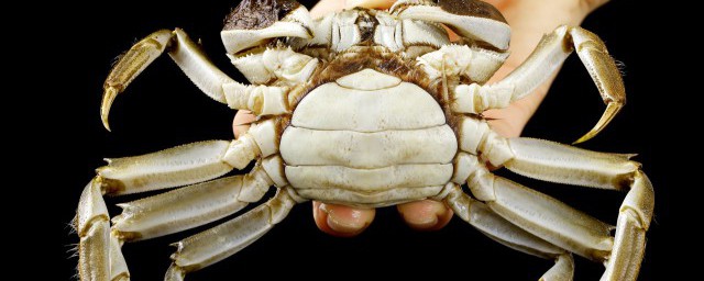 吃螃蟹有哪些作用 吃螃蟹的作用介紹