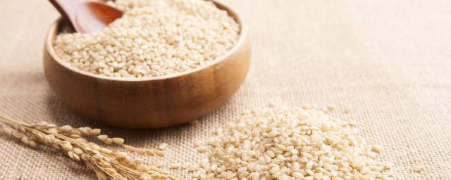 糙米和薏米能一起煮嗎 糙米和薏米能不能一起煮