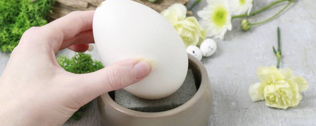 鵝蛋的最佳儲存方法 鵝蛋的最佳儲存方法 介紹