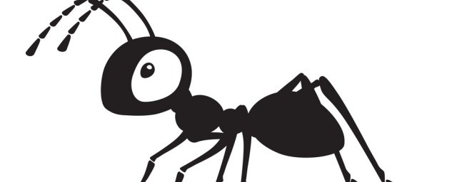 螞蟻怎麼滅 如何消滅螞蟻