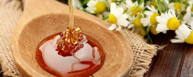 脂肪肝適合喝蜂蜜嗎 脂肪肝可以喝蜂蜜嗎