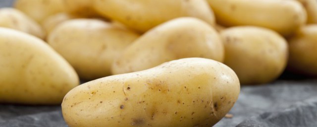 土豆屬於豆類嗎 土豆是豆類嗎