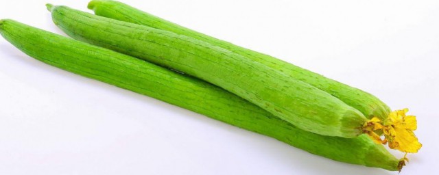 絲瓜是涼性的嗎 關於絲瓜的食物屬性介紹