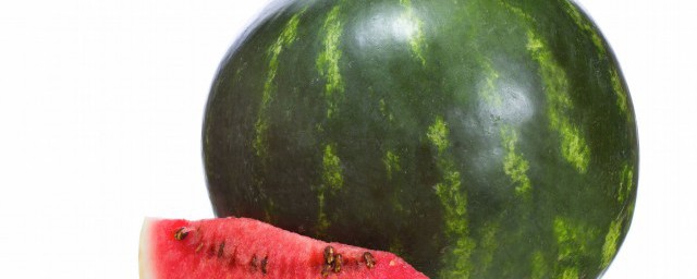 西瓜的種植方法和時間 西瓜如何種植