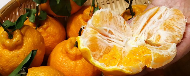 耙耙柑是不是就是醜橘 耙耙柑是醜橘嗎