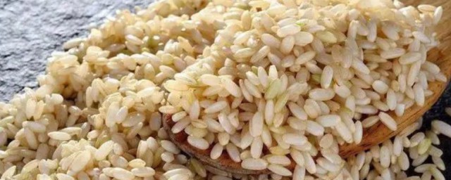 糙米適合什麼人吃 糙米什麼人吃比較好