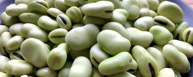 蠶豆吃瞭會發胖嗎 吃蠶豆是否會發胖