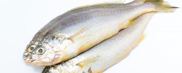 小黃魚的食用處理方法 小黃魚的食用處理方法是什麼