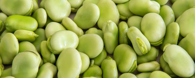 綠色的豆子是什麼豆 綠色的豆子名字介紹