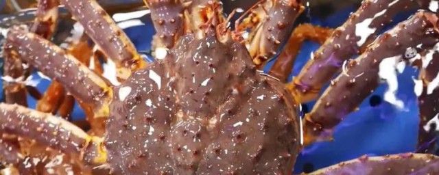 帝王蟹為什麼不是真正的螃蟹 帝王蟹為啥不是真正的螃蟹