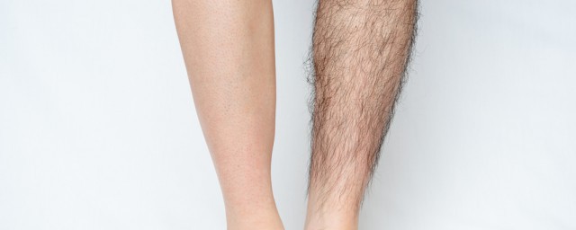 一個人一般有多少腿毛 一個人一般擁有的腿毛可以計算嗎