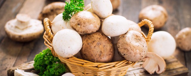 如何保存新鮮蘑菇 如何保存新鮮蘑菇
